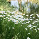 アパート Gaestehaus Gaumenflug Am ギュンツブルク