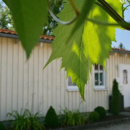 Gaestehaus Gaumenflug Am Günzburg